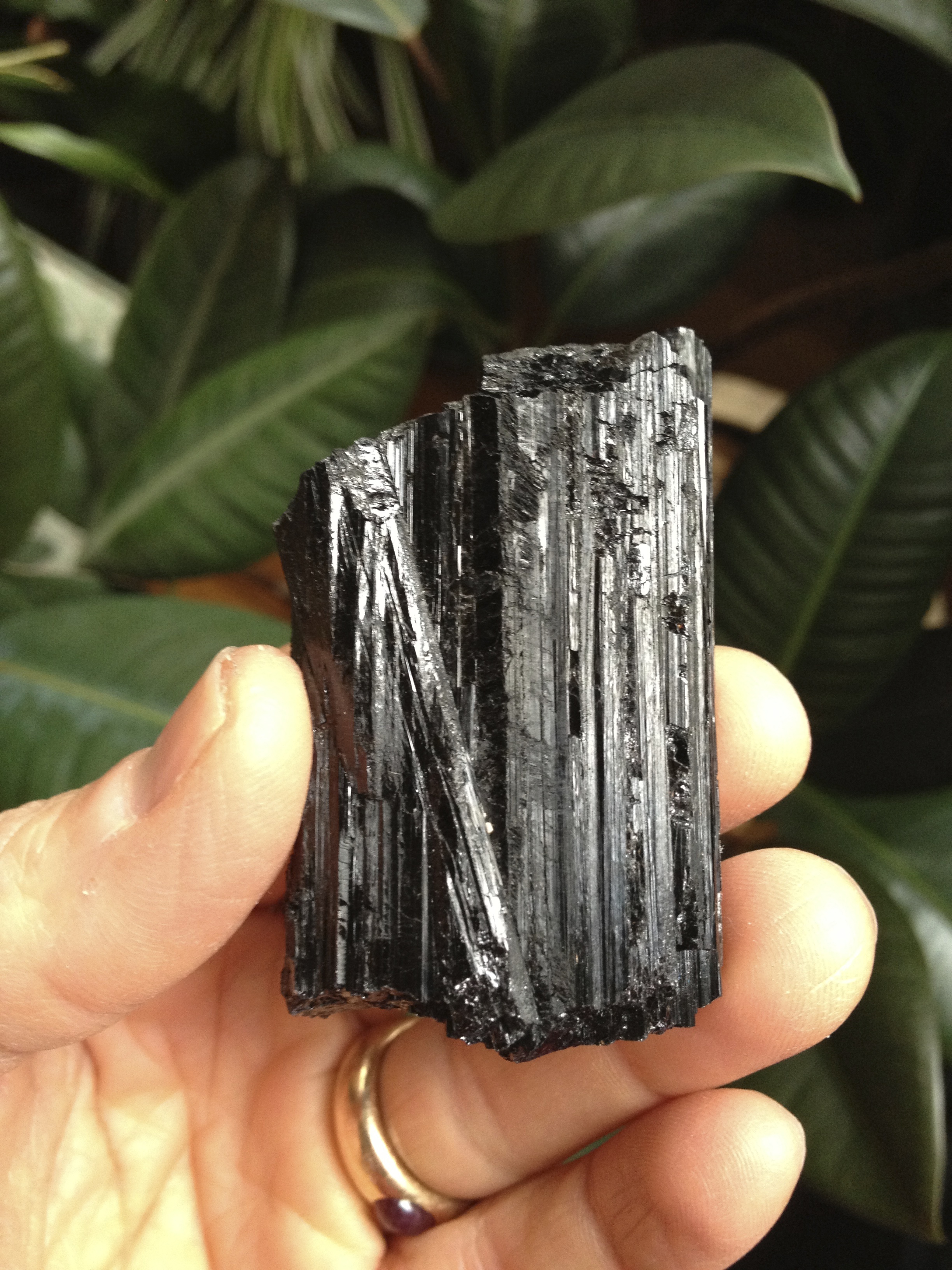 particularly sweet Black Tourmaline