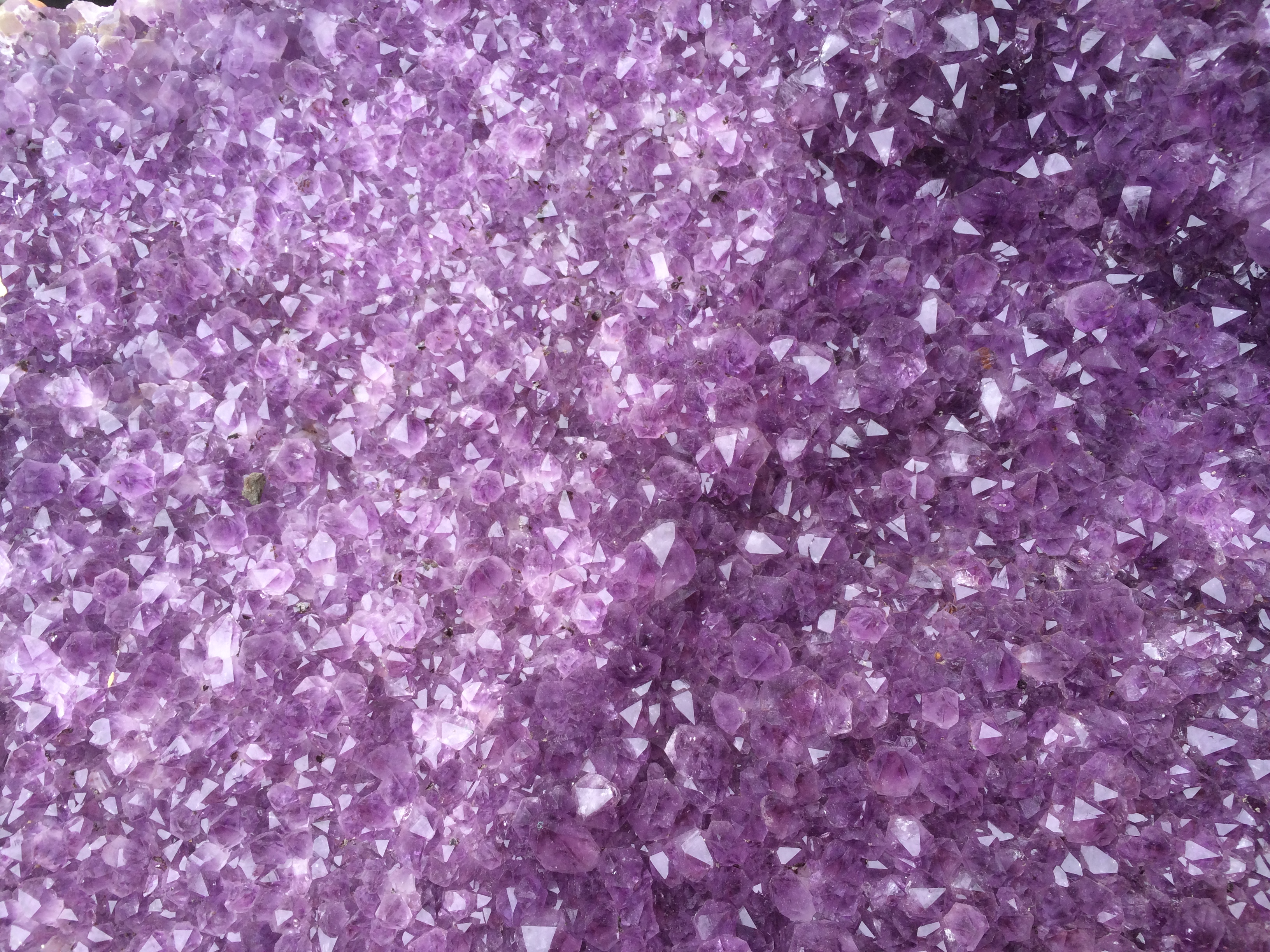 this is a closeup of the giant Amethyst cluster - showing its Yin & Yang color variation - one side being more matt, and the other glassier