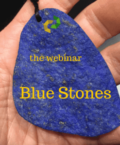 Webinars