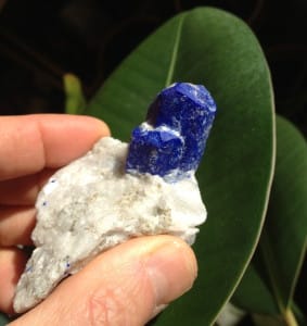 I used to think this was the ultra-rare crystalized version of Lapis - and it kind of is - but it's called Lazurite. The white is generally marble (as opposed to the usual white Calcite in Lapis). And the termination is quite unique in configuration.