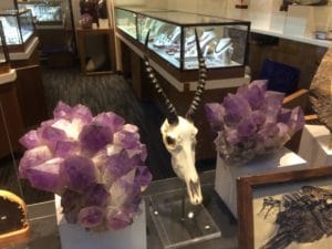 What's inside the display window of a shop I know, that does not do wholesale, per se.