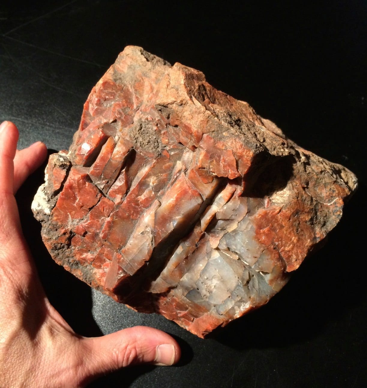 Petrified Wood, large red AZ chunk, healing crystal