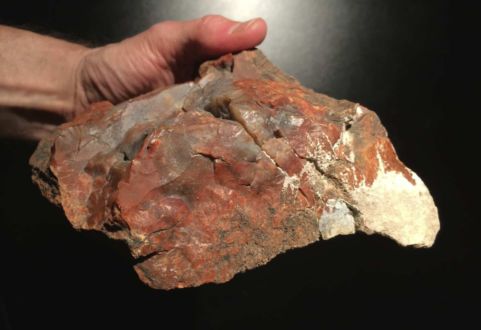 Petrified Wood, large red AZ chunk, healing crystal - Image 2