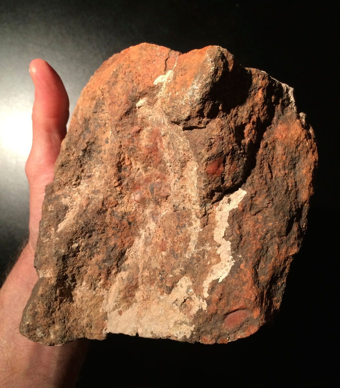 Petrified Wood, large red AZ chunk, healing crystal - Image 3