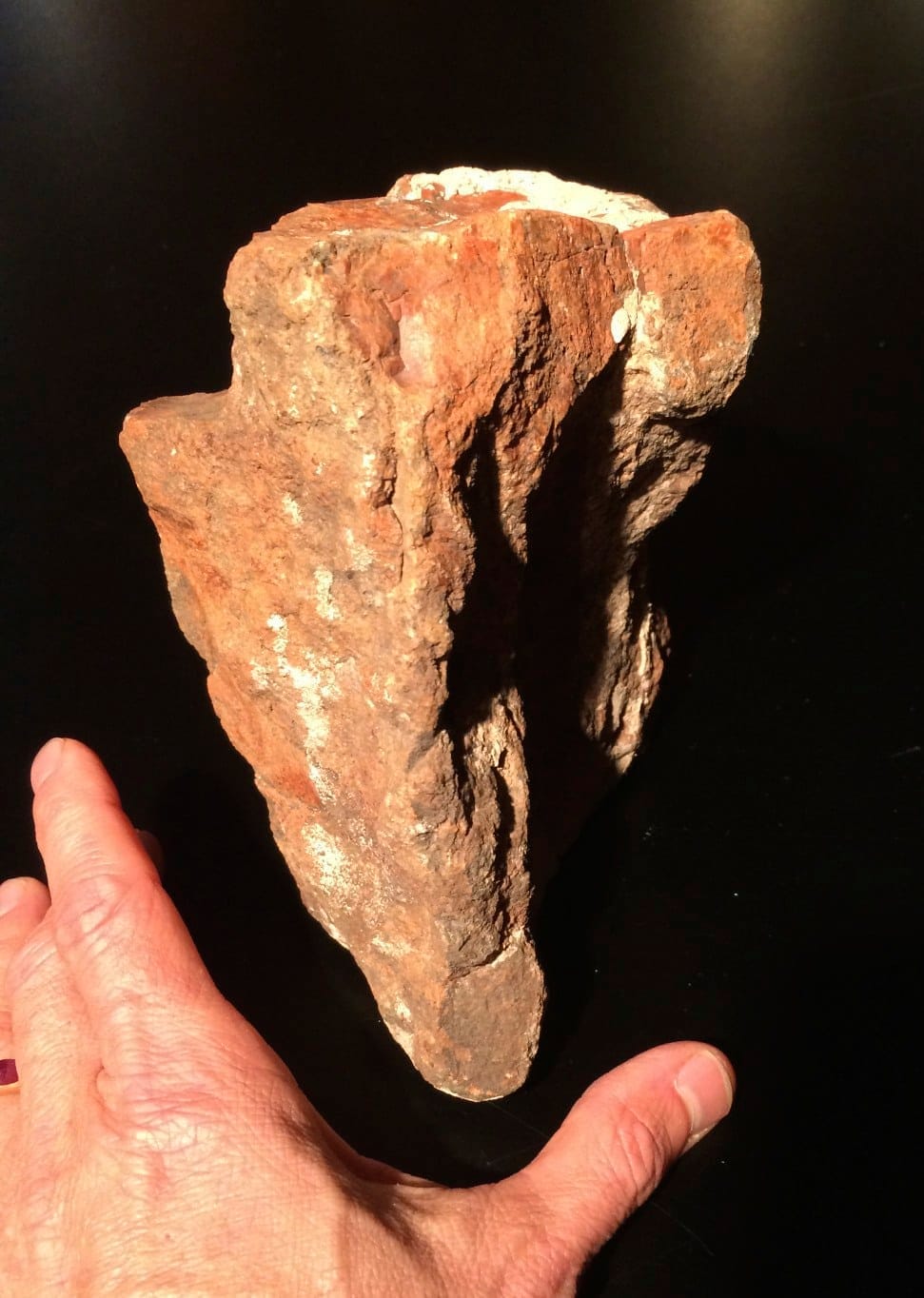 Petrified Wood, large red AZ chunk, healing crystal - Image 4