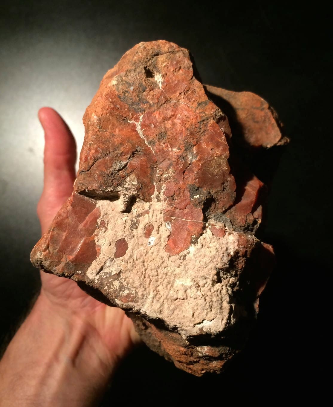 Petrified Wood, large red AZ chunk, healing crystal - Image 5