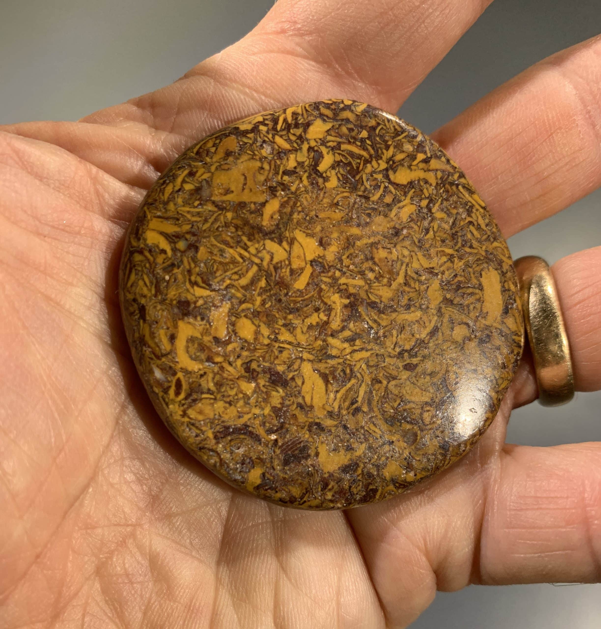 Jasper (Coquina) disc palm piece healing crystal