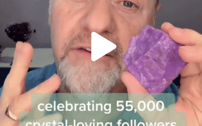 Going Viral on TikTok