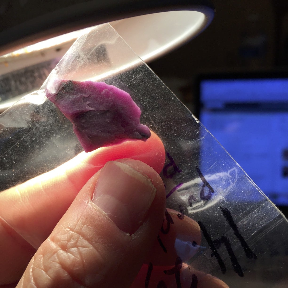 Sugilite (small rough) purple pink gel (14.25ct) healing crystal