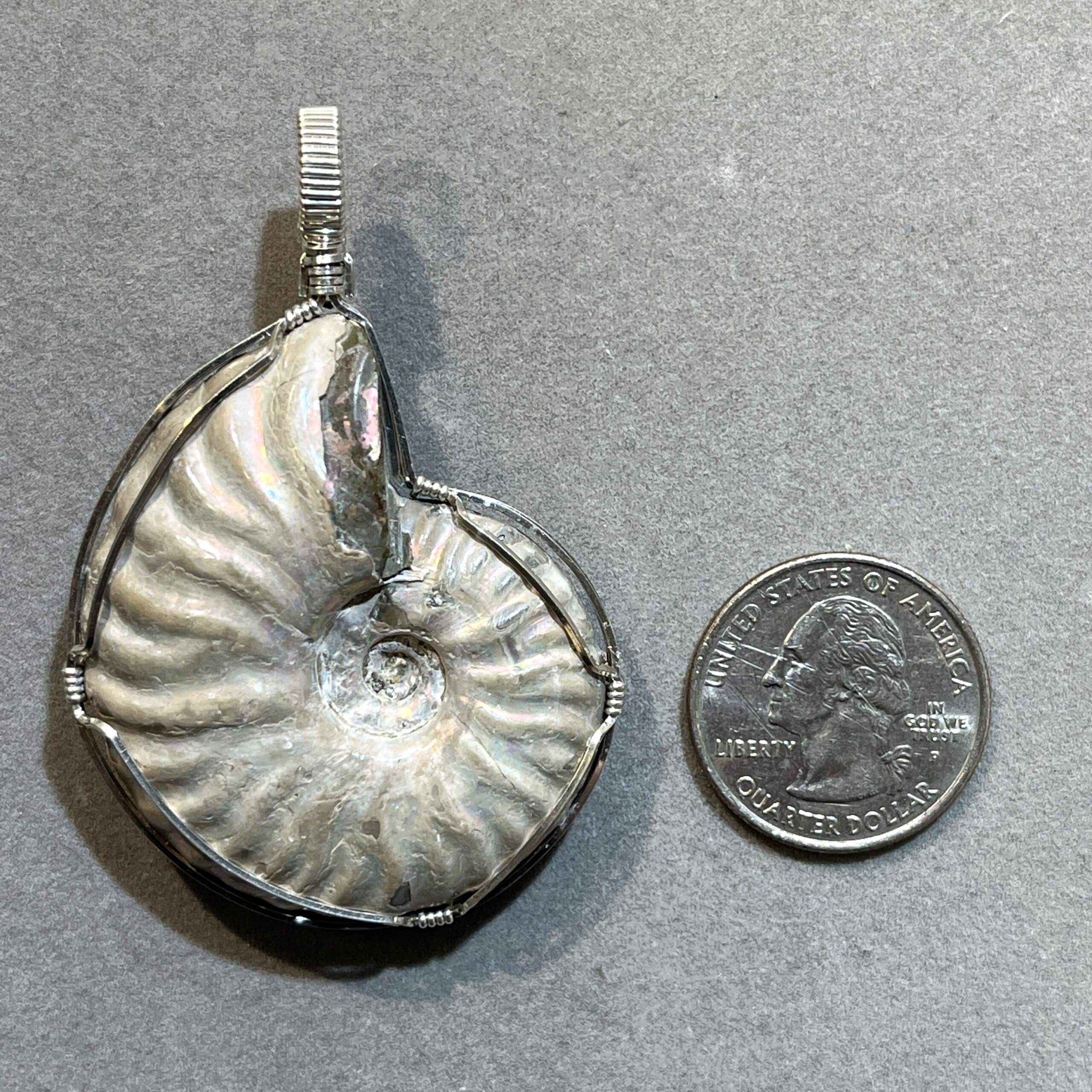 Ammonite fossil (pearly) pendant for necklace custom wrapped healing crystal - Image 5