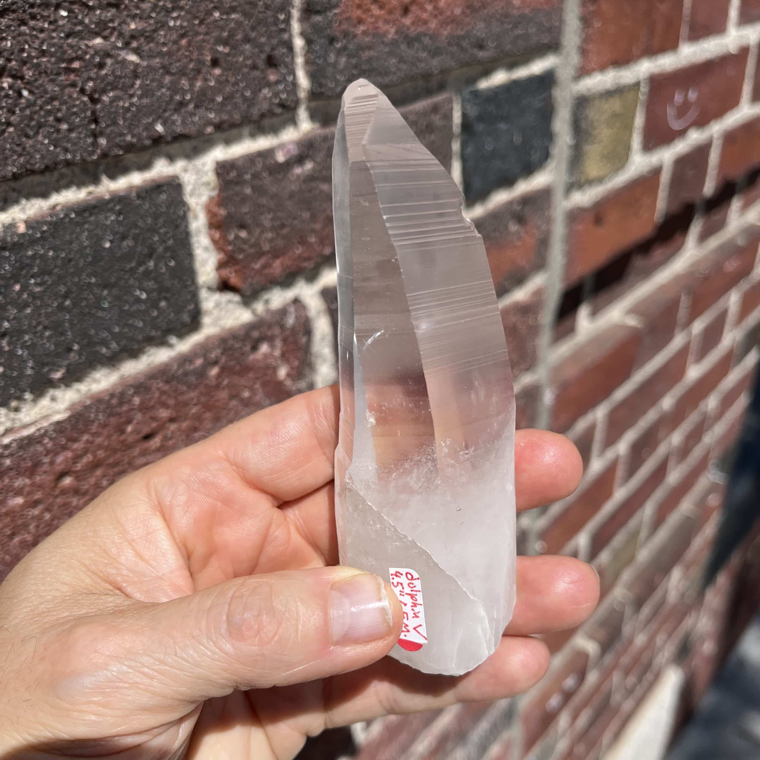 Quartz (Lemurian) 'dolphin V' (4.5") natural Colombian healing crystal