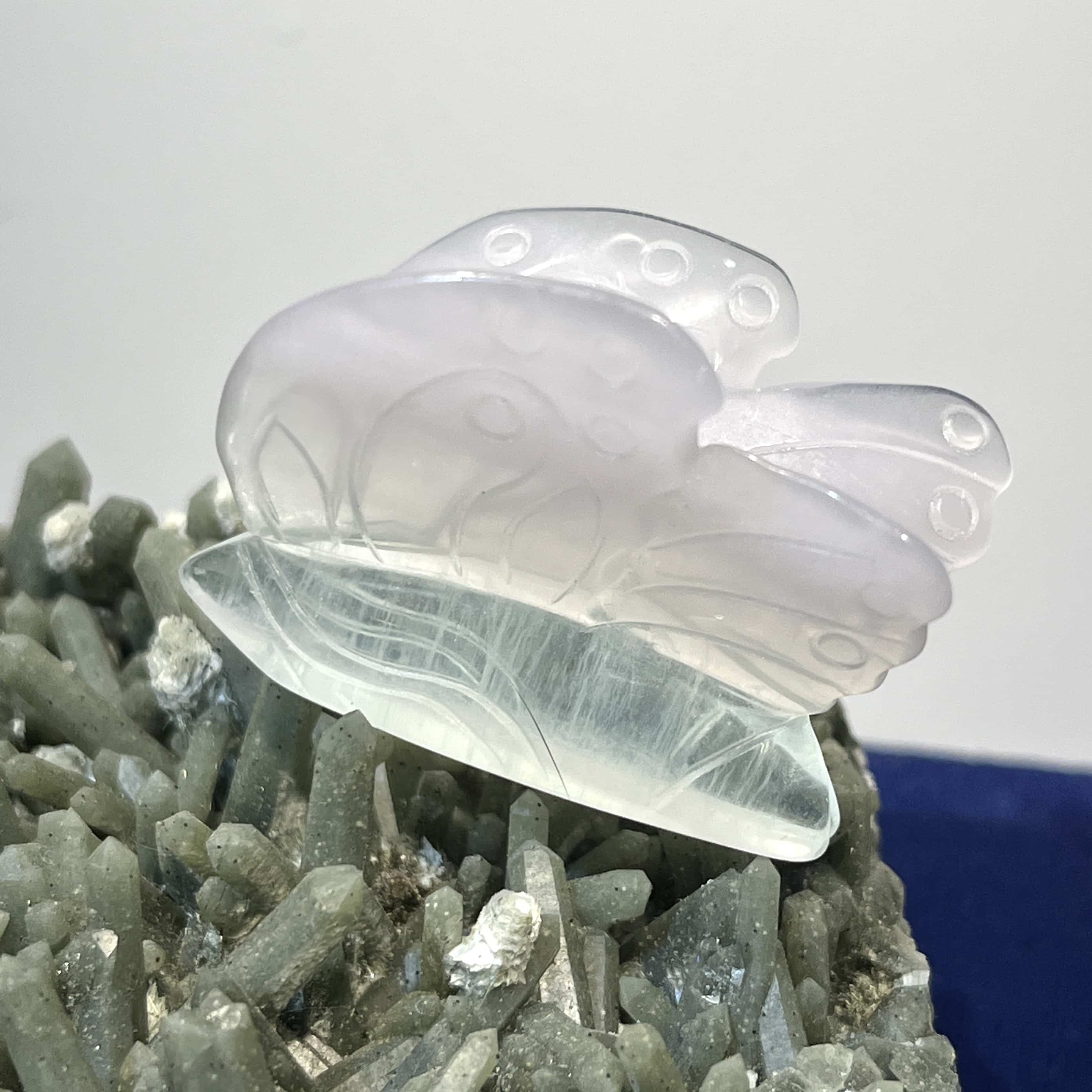 Fluorite (rainbow) standing butterfly carving healing crystal - Image 2