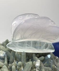 Fluorite (rainbow) standing butterfly carving healing crystal