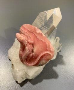 Rhodochrosite (carving) perched lizard healing crystal