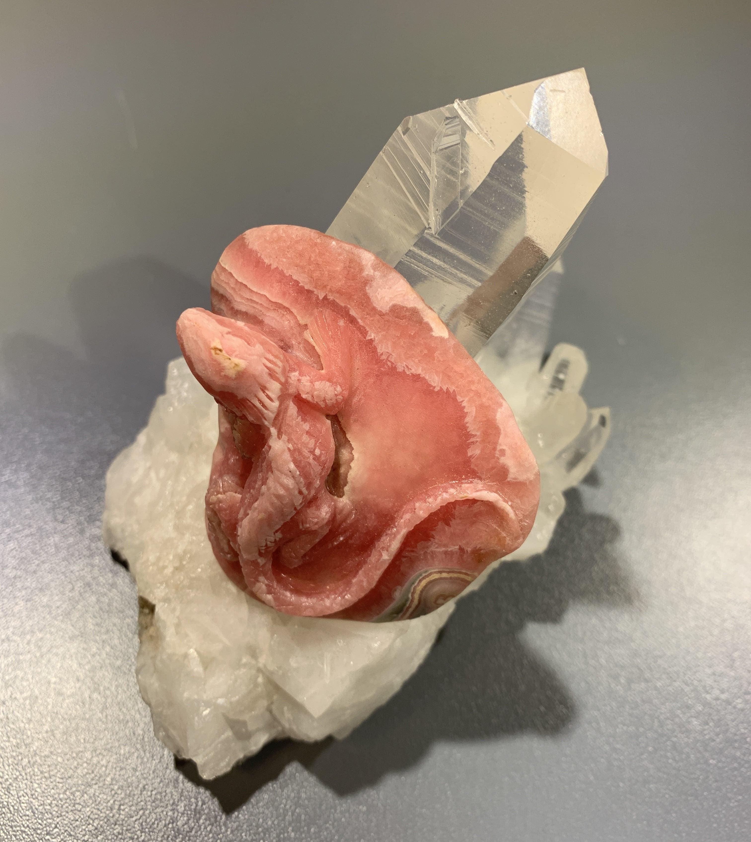 Rhodochrosite (carving) perched lizard healing crystal