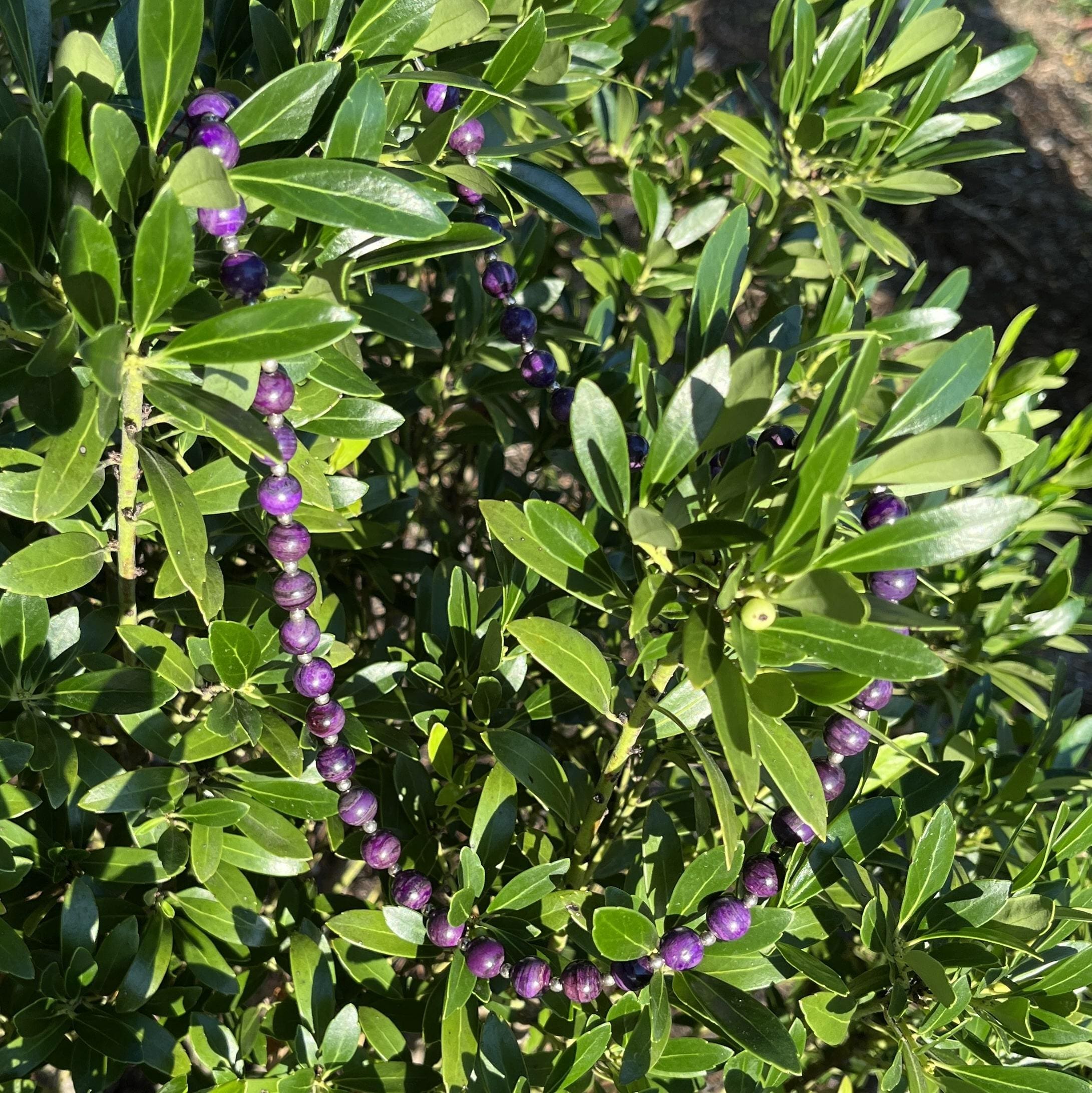 Sugilite matching round bead necklace w silver (44g) healing crystal - Image 5
