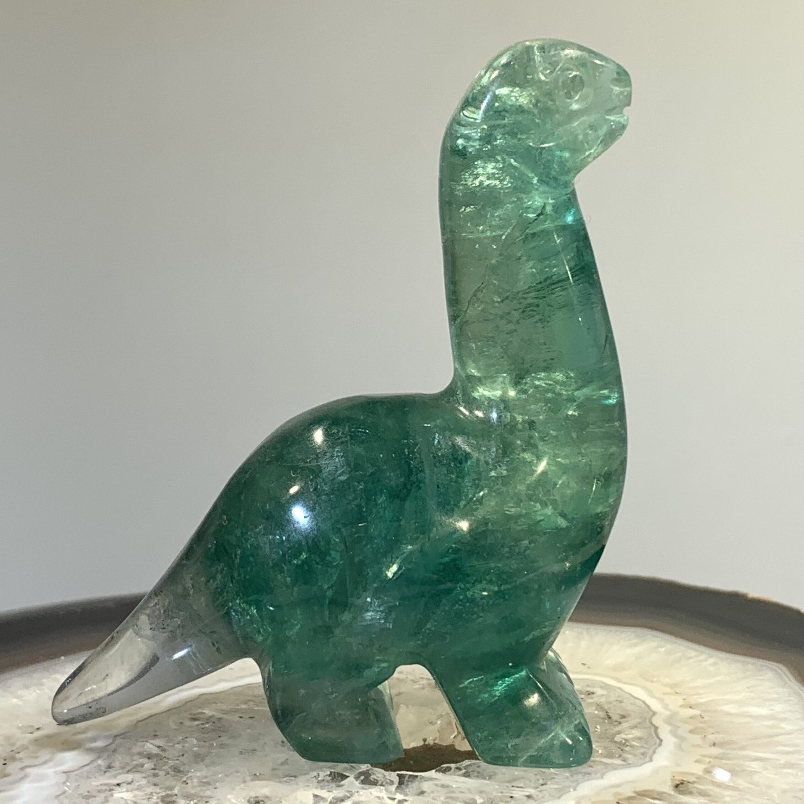 Fluorite (animal carving) standing brontosaurus dinosaur, healing crystal