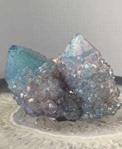 Quartz (Angel Aura) cactus twin pair of generators healing crystal