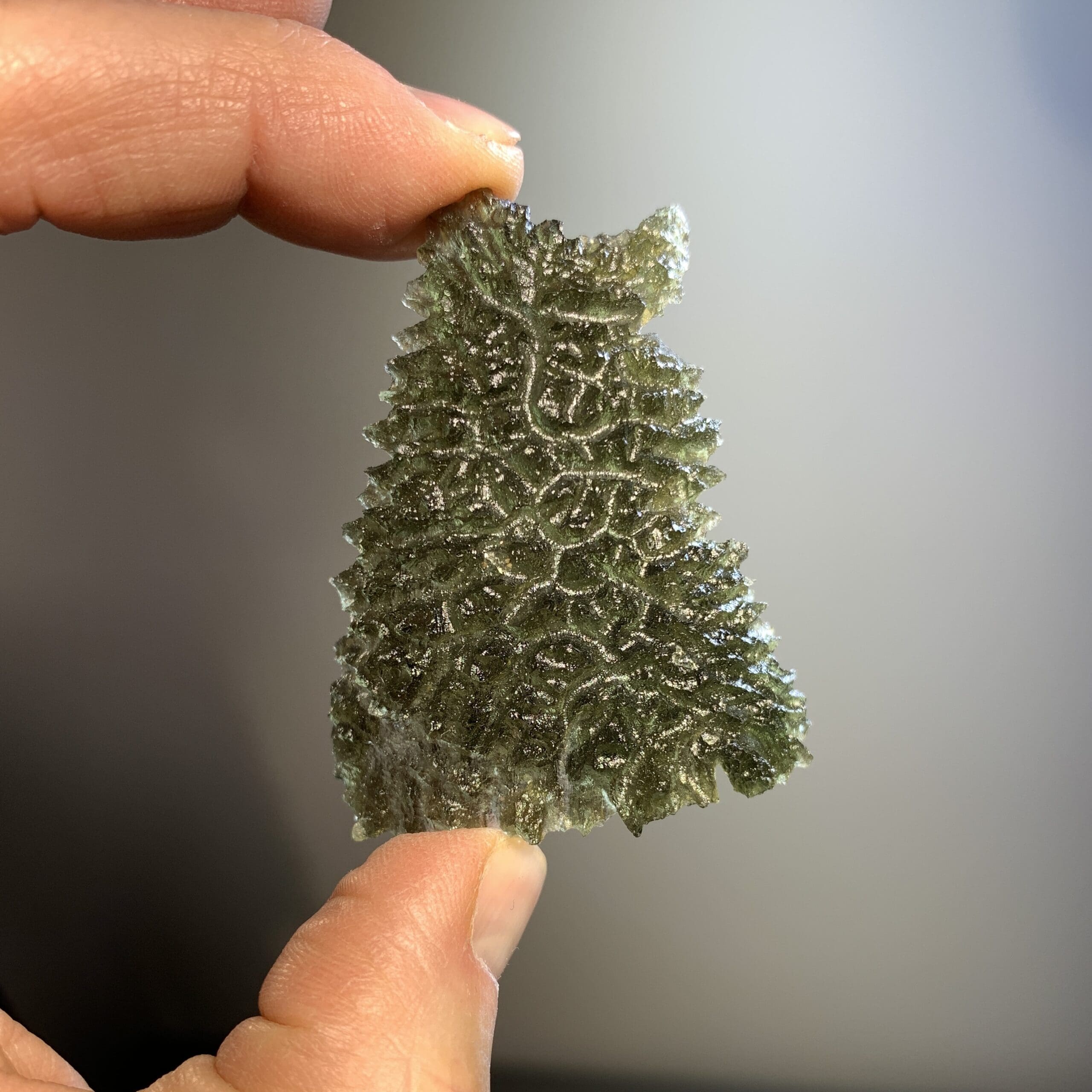 Moldavite (rough) Besednice (12.0g) 'sitting collie' healing crystal - Image 2