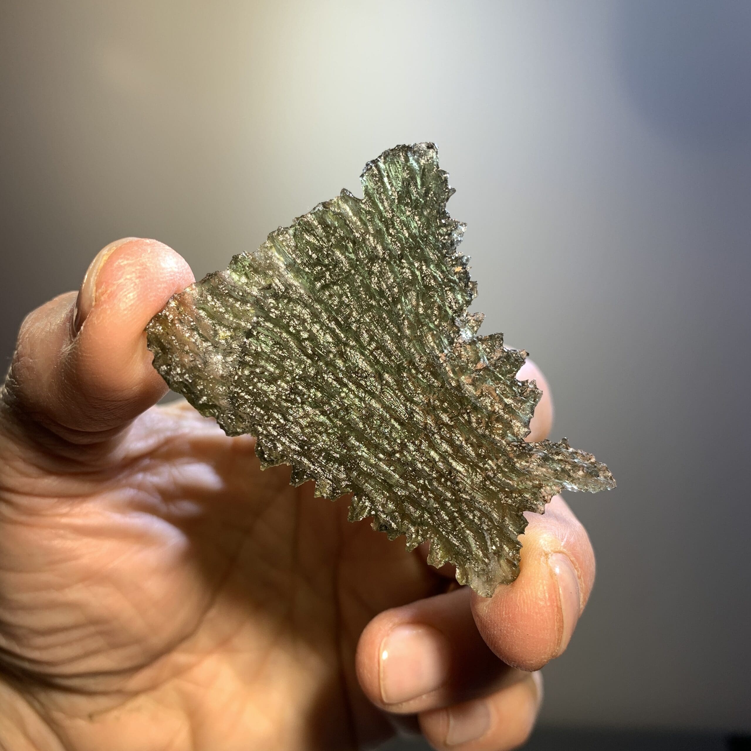 Moldavite (rough) Besednice (12.0g) 'sitting collie' healing crystal - Image 3