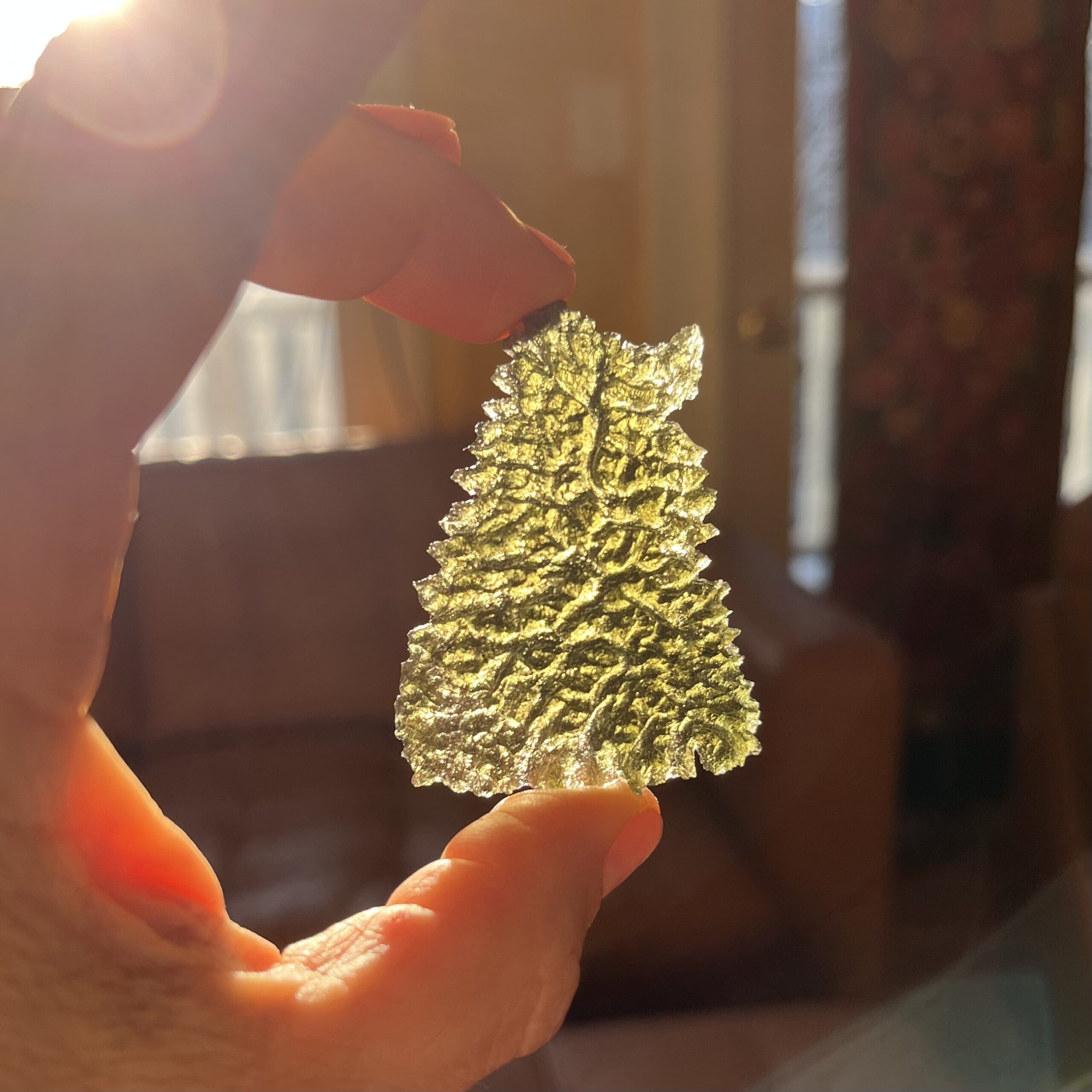 Moldavite (rough) Besednice (12.0g) 'sitting collie' healing crystal - Image 4
