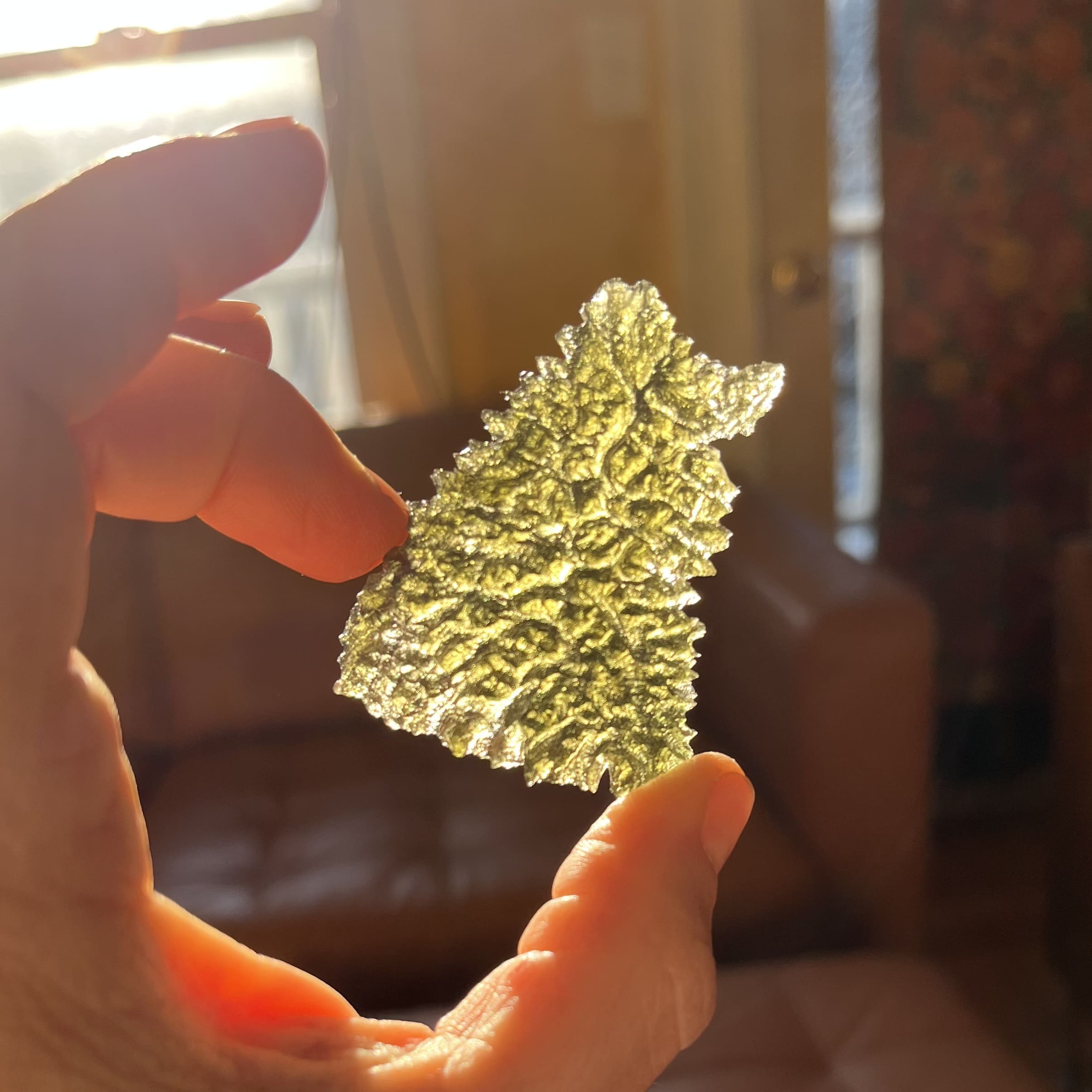 Moldavite (rough) Besednice (12.0g) 'sitting collie' healing crystal - Image 6