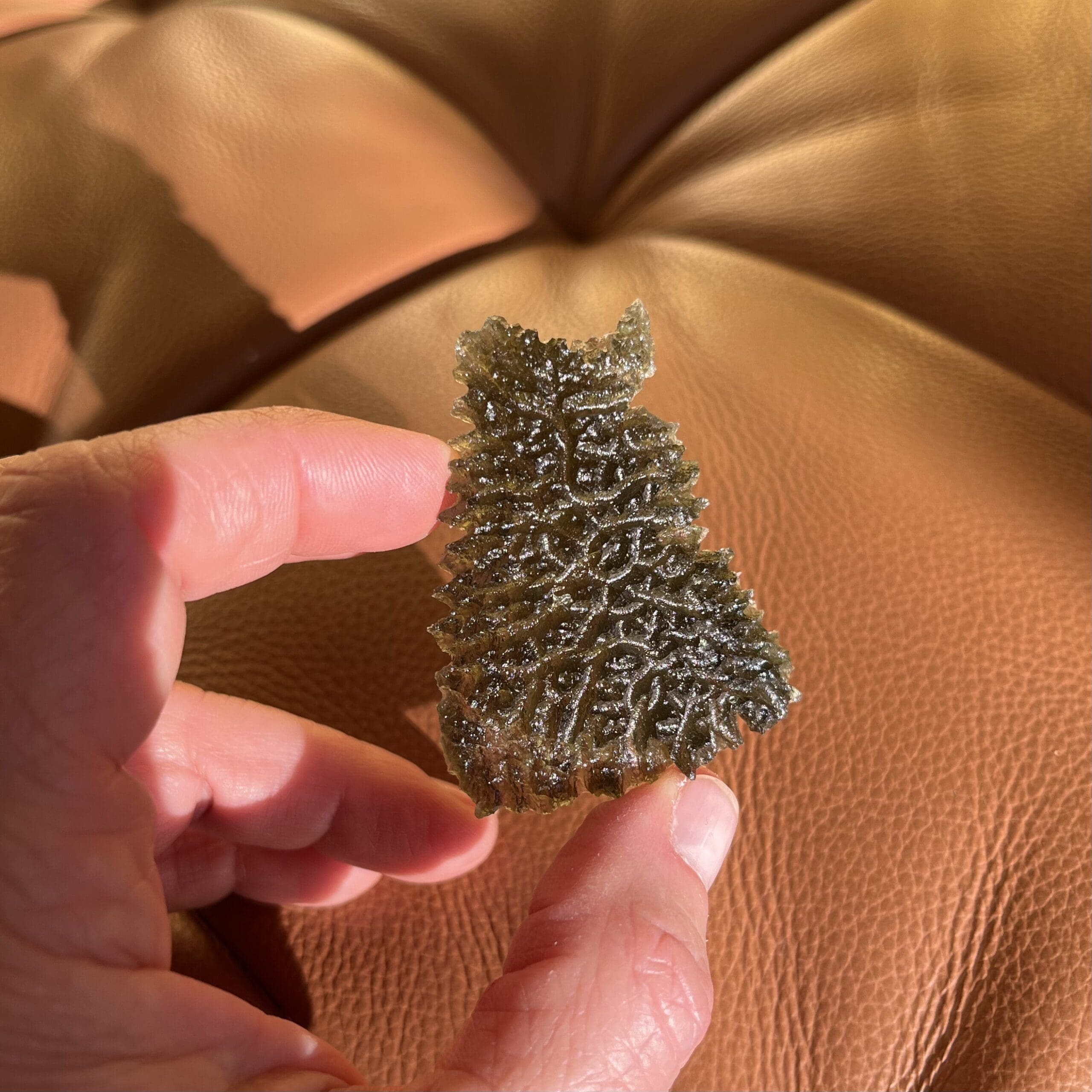 Moldavite (rough) Besednice (12.0g) 'sitting collie' healing crystal - Image 7