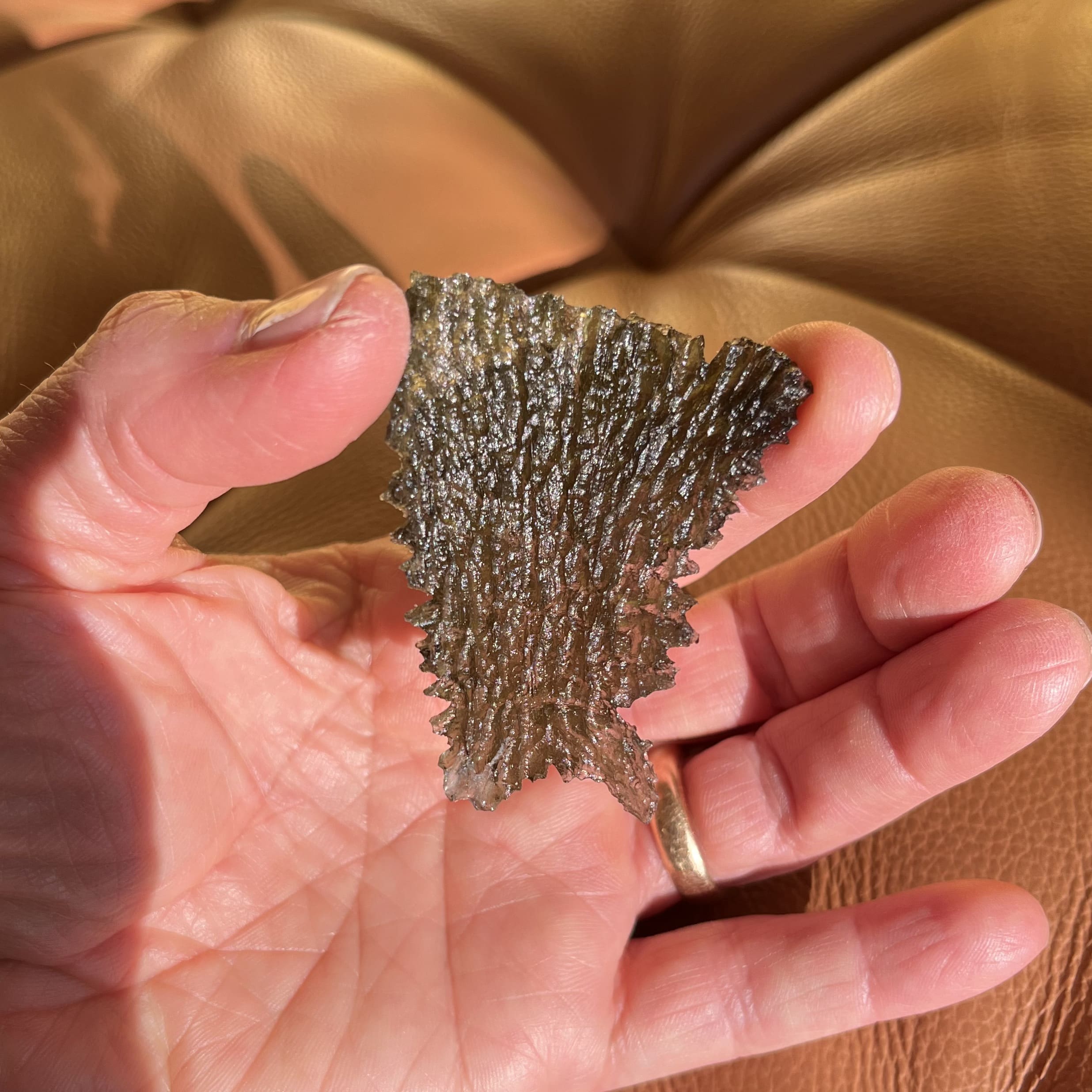 Moldavite (rough) Besednice (12.0g) 'sitting collie' healing crystal - Image 8