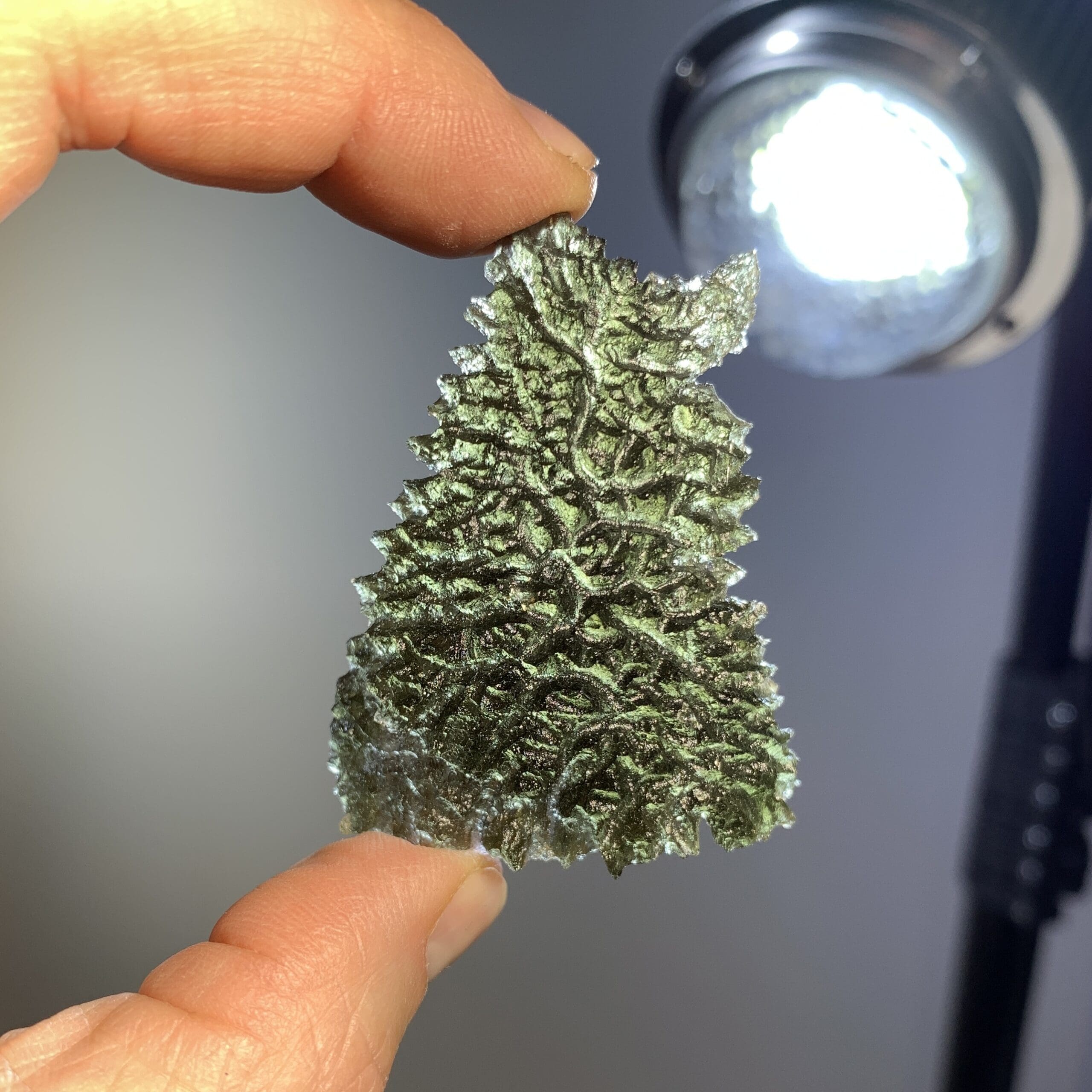 Moldavite (rough) Besednice (12.0g) 'sitting collie' healing crystal