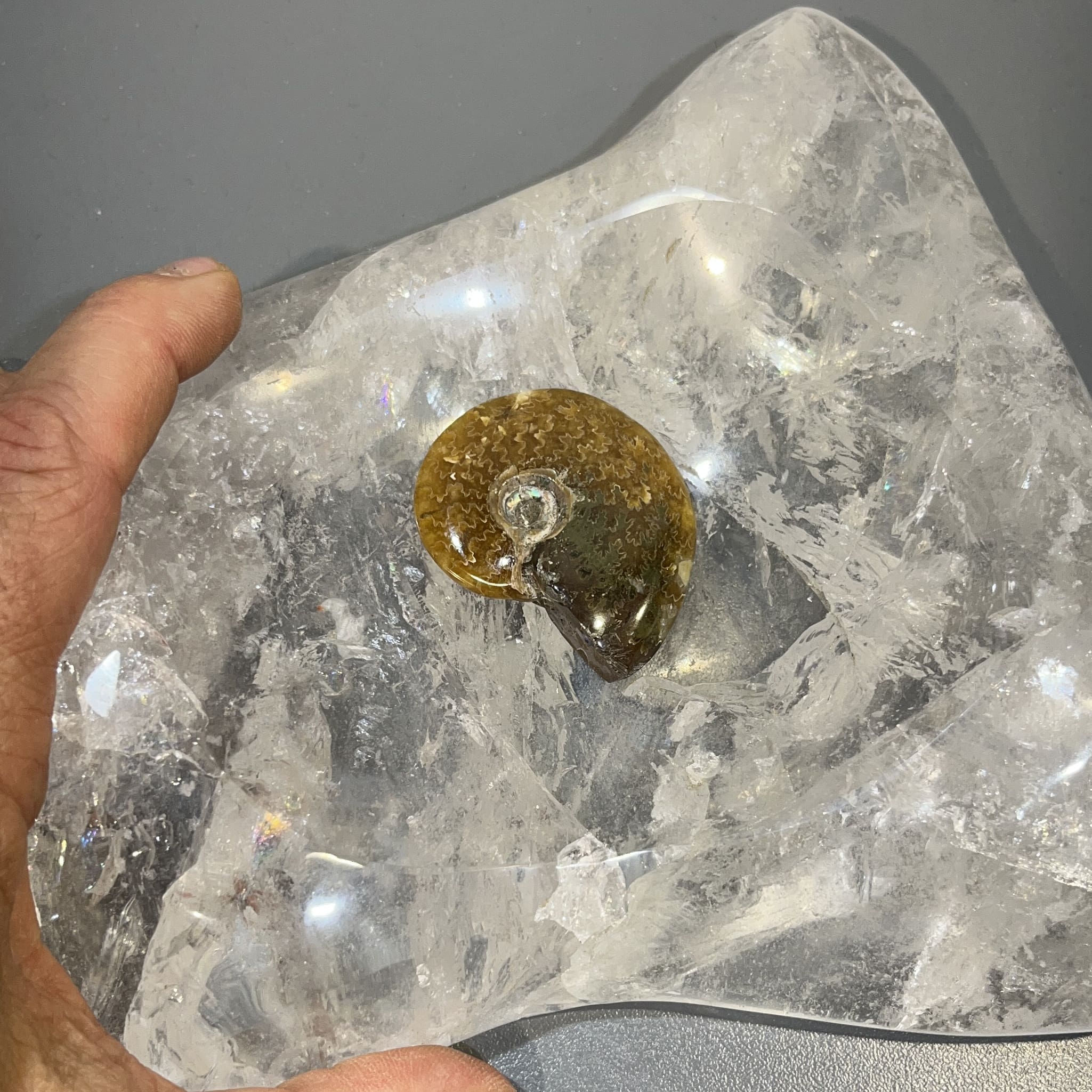 Ammonite (polished) 'dirty blonde' agatized (complete shell) healing crystal - Image 2