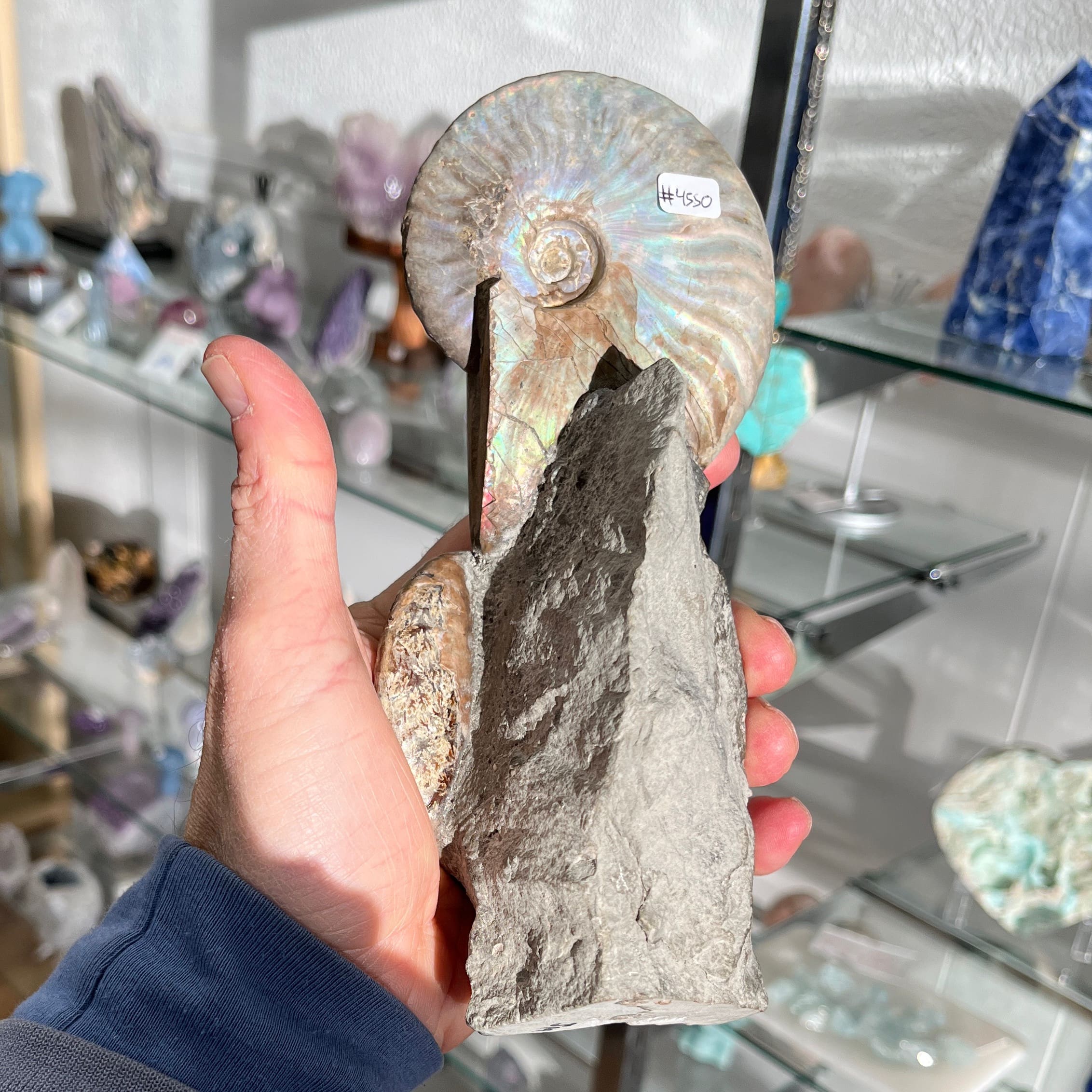 Ammonite (pearly opalescent) fossil standing sculpture healing crystal - Image 2